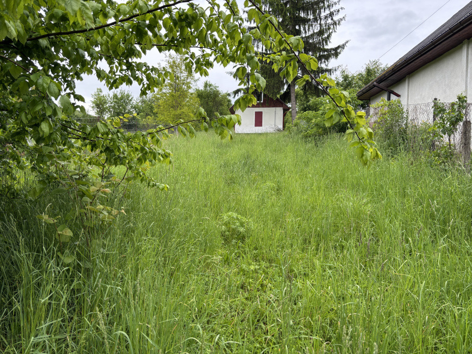 De vanzare teren suprafata 3500mp Sacareni