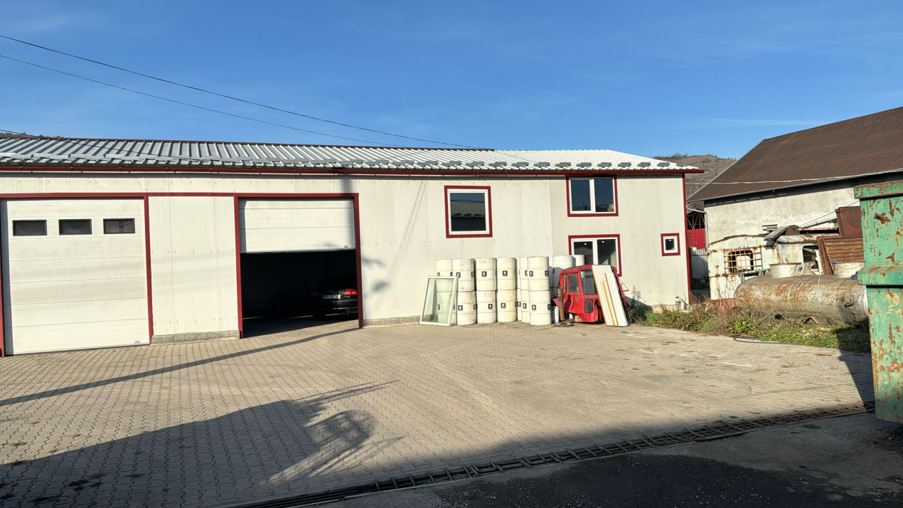 De vanzare Hale sicladire administrativa birouri in Balauseri