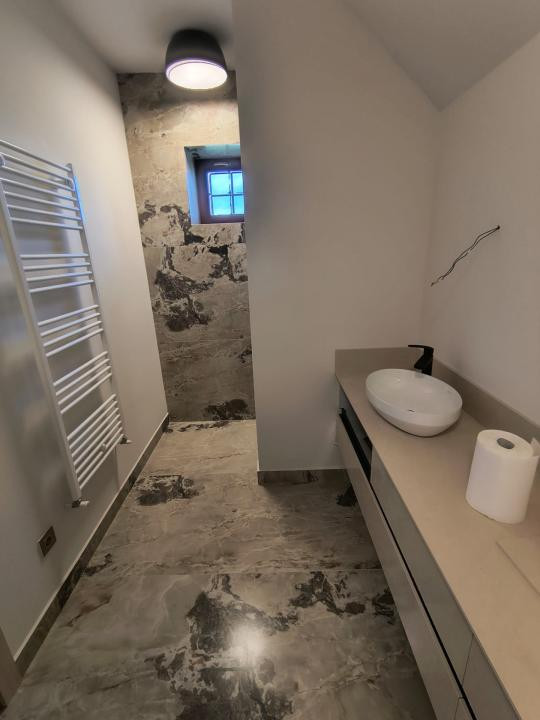 De Inchiriat casa / clinica zona Platoul Cornesti 
