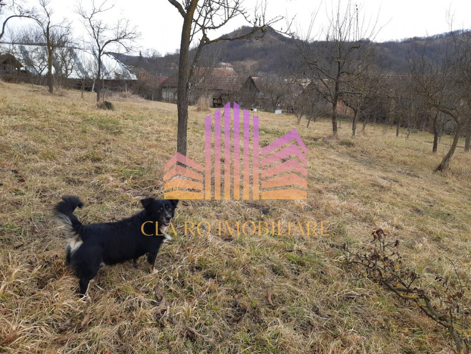 De vanzre casa la tara zona superba, Sambrias, Mures