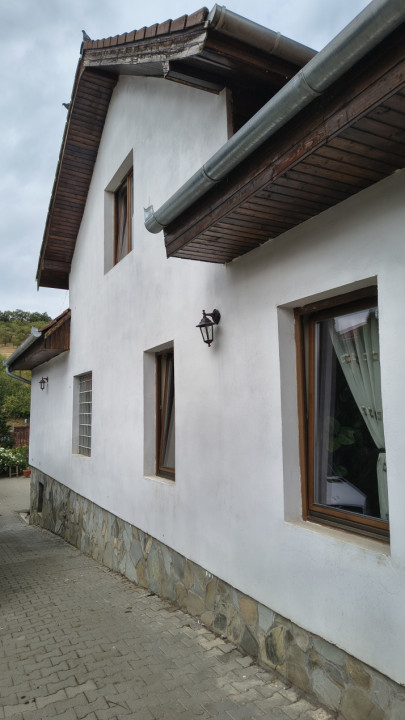 De vanzare casa in zona Dambu Pietros