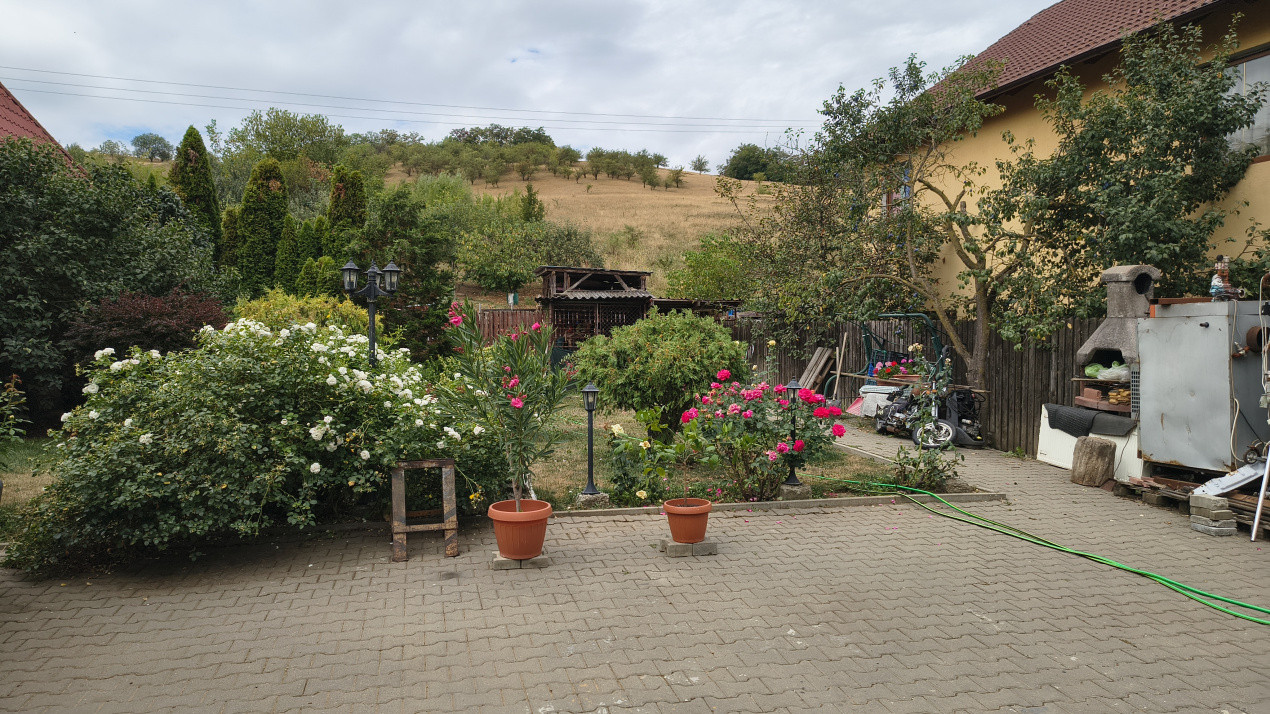 De vanzare casa in zona Dambu Pietros
