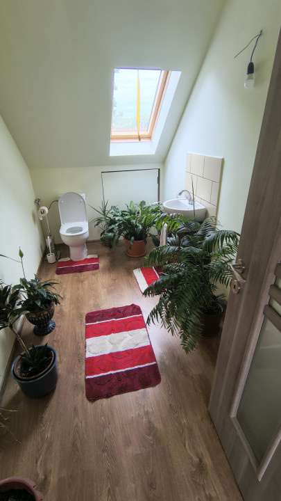 De vanzare casa in zona Dambu Pietros
