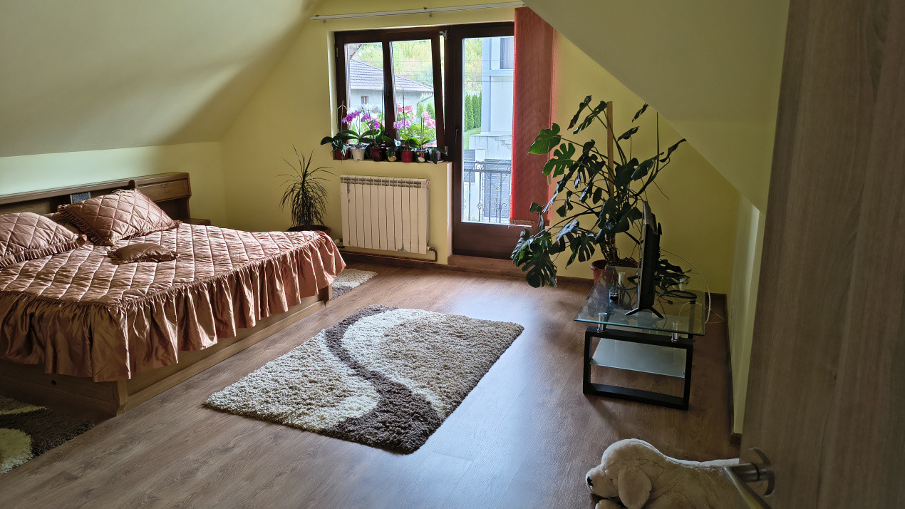 De vanzare casa in zona Dambu Pietros