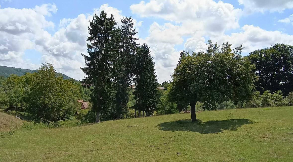De vanzare Teren in Painjeni de 2Ha