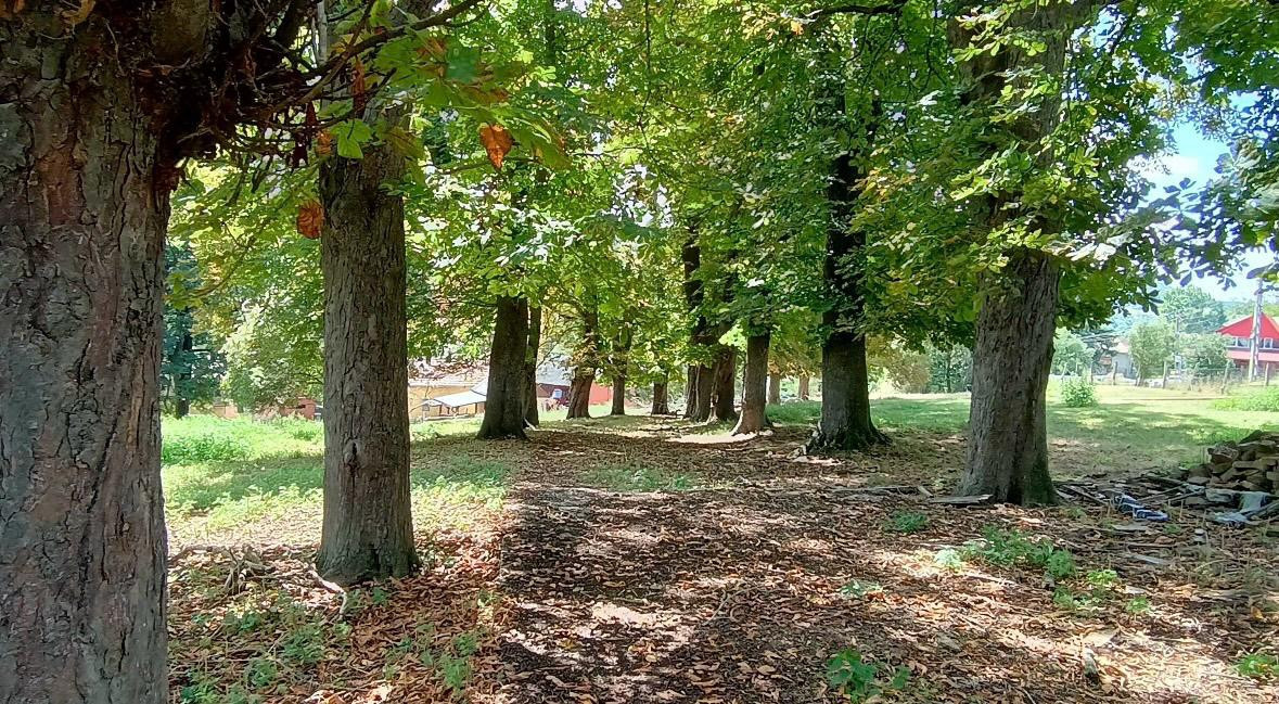 De vanzare Teren in Painjeni de 2Ha