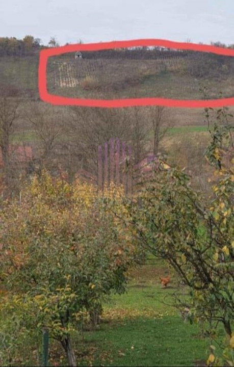 De vanzare teren in Voiniceni