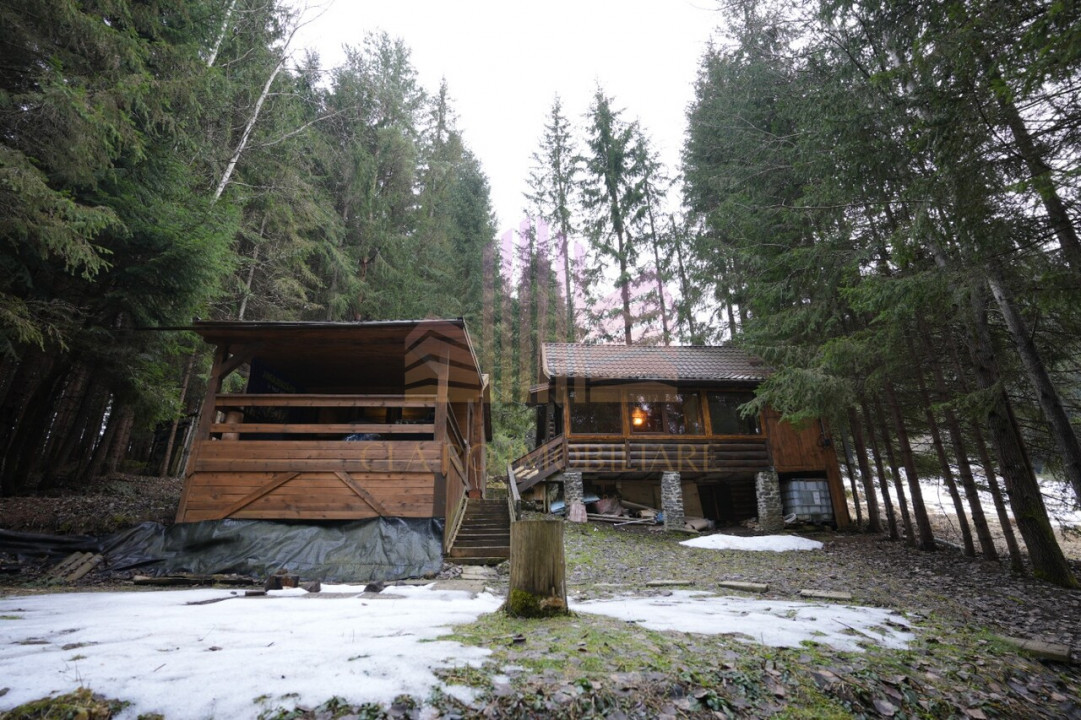 De vanzare cabana in Stanceni -Neagra , Targu Mures, Mures