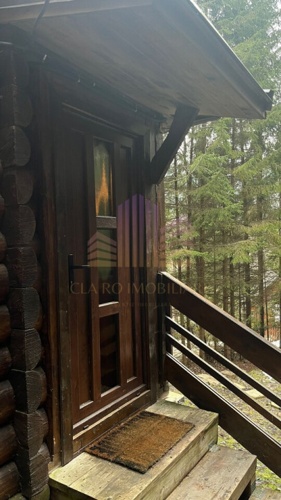De vanzare cabana in Stanceni -Neagra , Targu Mures, Mures