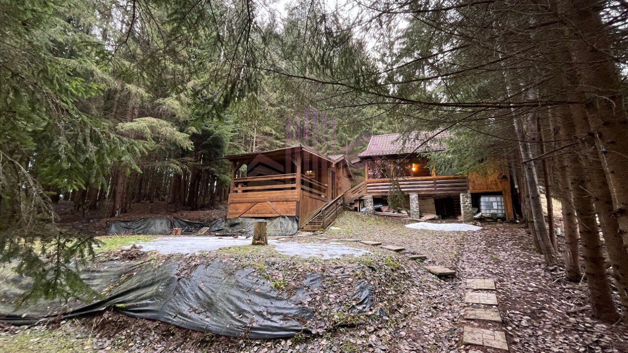 De vanzare cabana in Stanceni -Neagra , Targu Mures, Mures