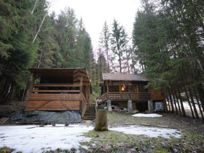 De vanzare cabana in Stanceni -Neagra , Targu Mures, Mures